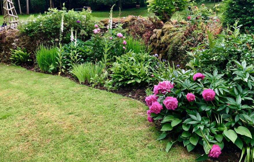 Flower Bed - Cutting Flowers