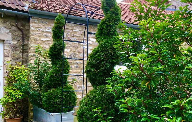 Spiral Topiary